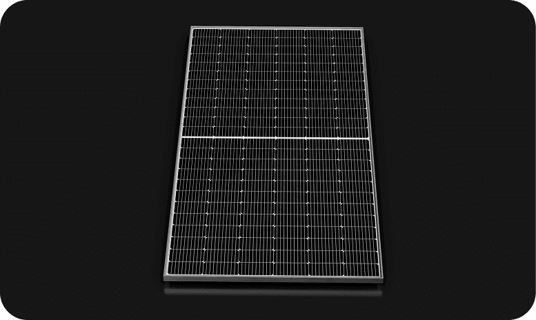 Rectangle 23983.png