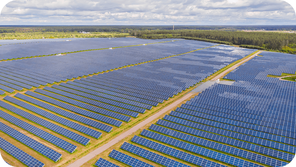 Placeholder image (12).png