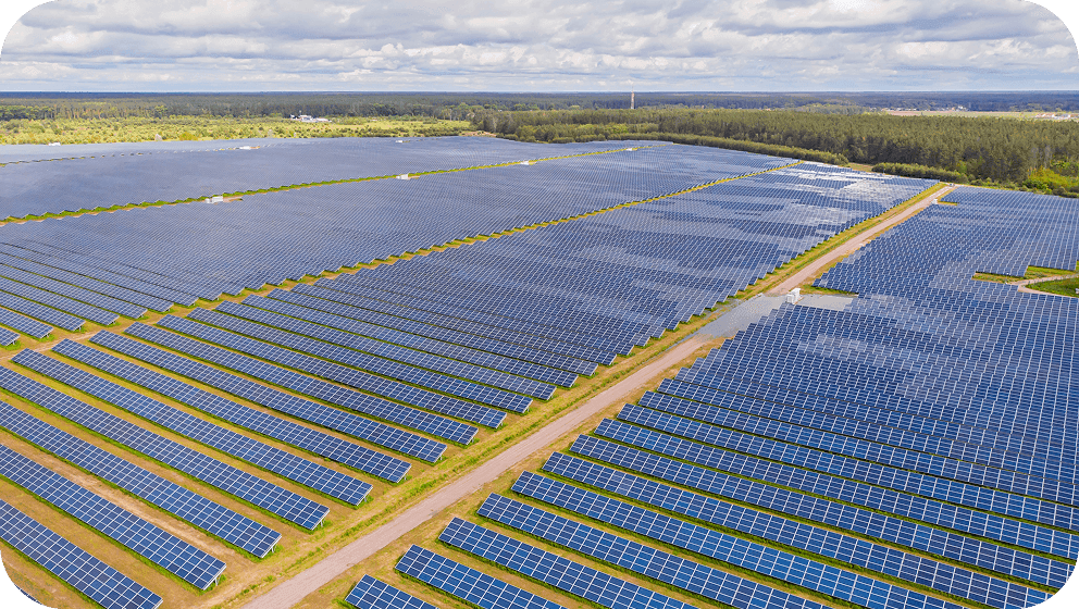 Placeholder image.png