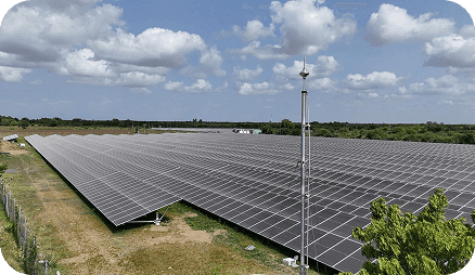 A Big Milestone: Six Months as Group CEO at Powertrac Group